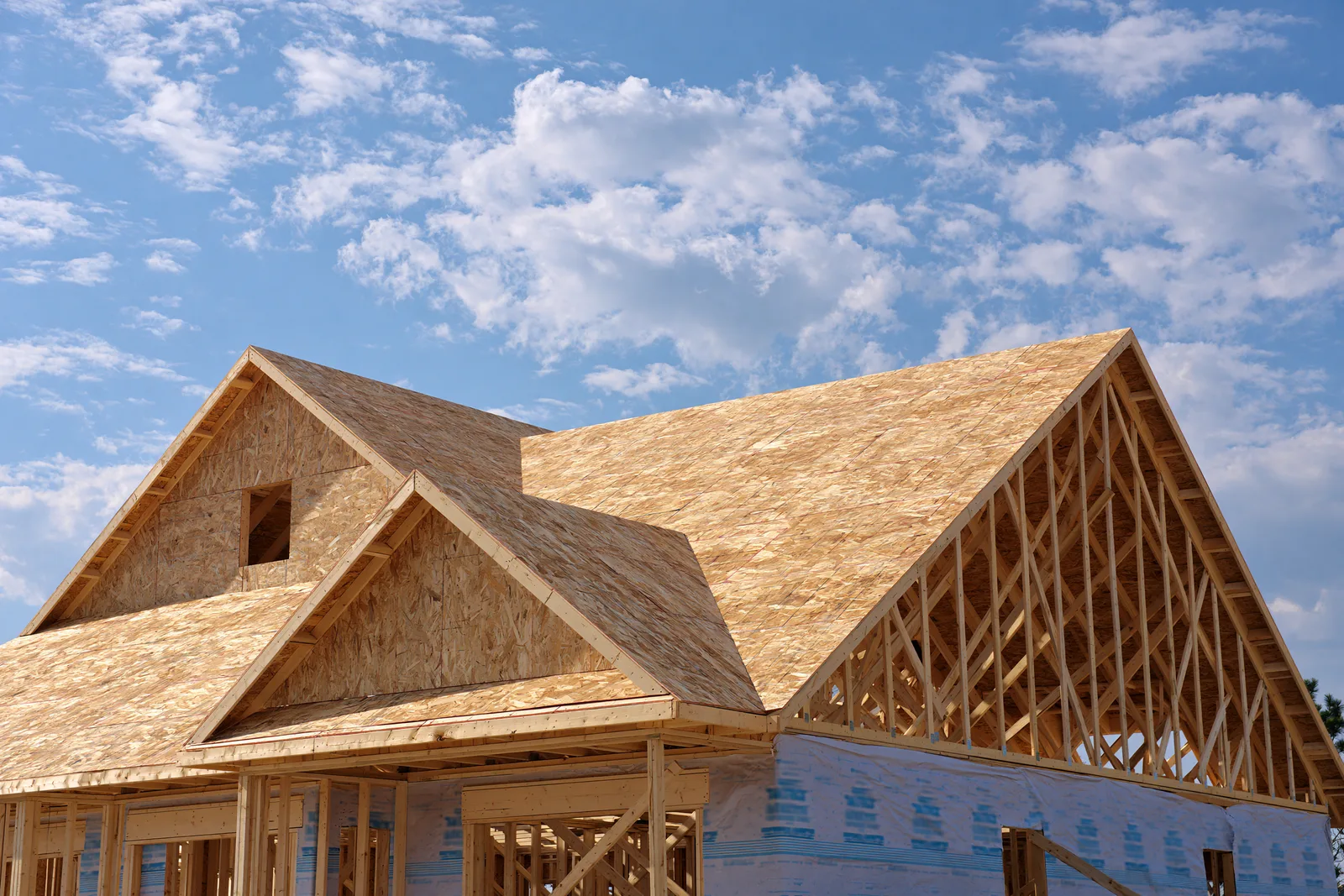 Exposed OSB roof decking and open truss framing on a house under construction